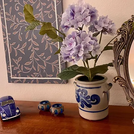 Gasthuis 1912 - Blue - Old Town Locarno